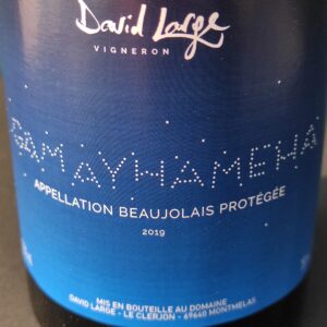 David Large Gamayhaméha