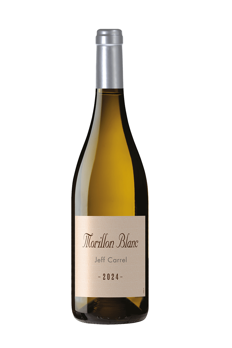 Jeff Carrel – Morillon – vin de France – 2023