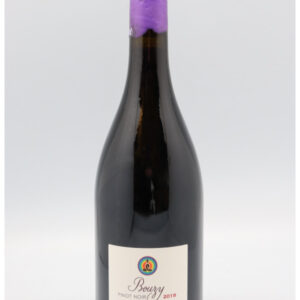Benoit Marguet - Bouzy - coteaux champenois - 2022